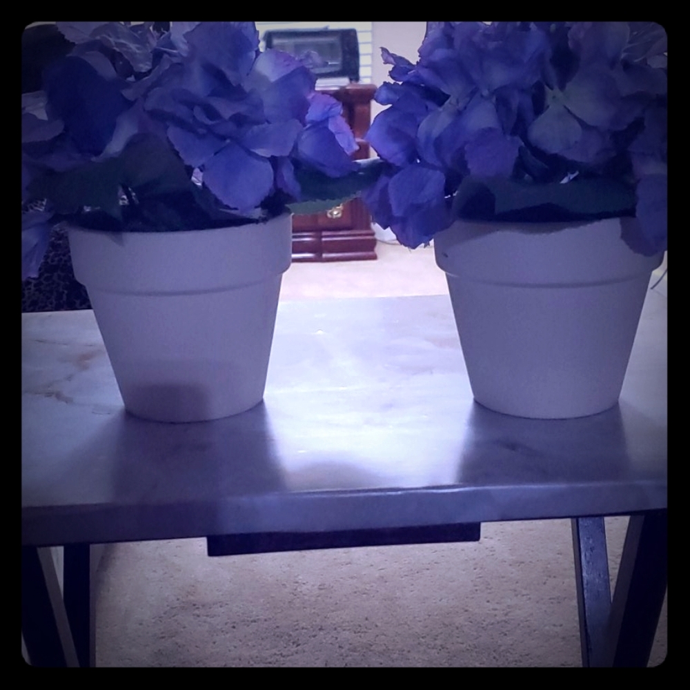 Purple Artificial flowers